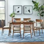 Chaises de salle à manger (lot de 2)