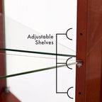 Vitrine d'angle avec lumières, étagères réglables en verre trempé, fond miroir